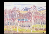 Spring Mt. Akagi