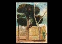 A tree at the square