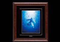 Dolphin (original) by Christian Lassen - Auction record, sale price, and art valuation. Compare with similar artists and explore comparable artworks.