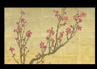 Red Plum