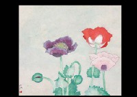 Poppy