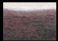 Wetland