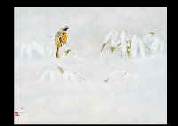 New Snow by Yasuhiro Numata - Auction record, sale price, and art valuation. Compare with similar artists and explore comparable artworks.