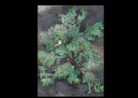 Japanese cypress