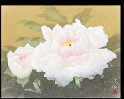 White Poeny