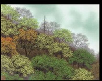 Spring by Hiroyuki Hara - Auction record, sale price, and art valuation. Compare with similar artists and explore comparable artworks.