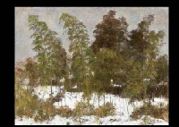 Bamboo Woods in the snow