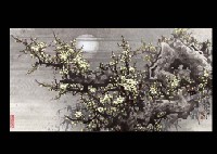 Scent of Plum blossoms