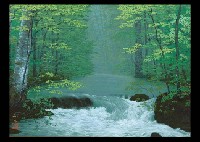 Okuirize Stream by Kazuyuki Futagawa - Auction record, sale price, and art valuation. Compare with similar artists and explore comparable artworks.