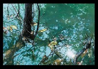 Lakeside by Hiromu Minakuchi - Auction record, sale price, and art valuation. Compare with similar artists and explore comparable artworks.