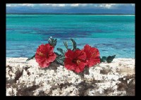 Flowers in South