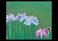 Calamus by Taiji Hamada - Auction record, sale price, and art valuation. Compare with similar artists and explore comparable artworks.