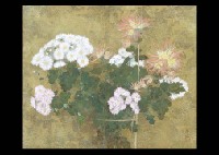 Chrysanthemum in the basket