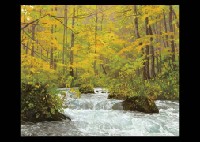Autumn in Okuirize