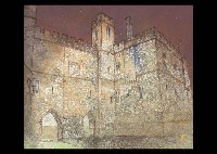 Moonlight Castle