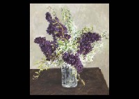 Dark Purple Lilas and Orchid
