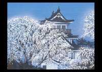 Cherry Blossoms on Yokote