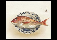 Bream
