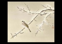 Starling in the Snow