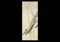 Swallow on the Willow