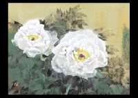 Two Peony
