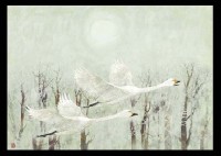 Morning Flight