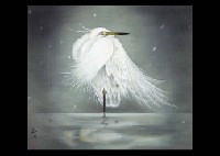 White Heron