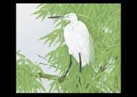Egret