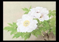 Peony by Nobutaku Oka - Auction record, sale price, and art valuation. Compare with similar artists and explore comparable artworks.