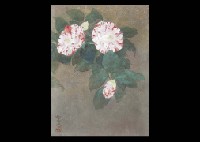 Camellias