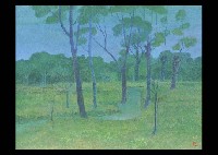 Forest Field