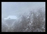 Kiyomizu in Snow