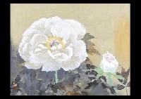 Peony
