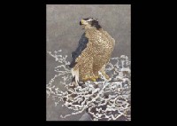 Motion by Tetsuo Tsukahara - Auction record, sale price, and art valuation. Compare with similar artists and explore comparable artworks.