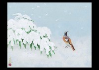 Snow