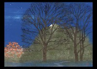 Cold Sky Night Color