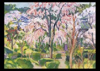 Hasedera, Cherry Blossoms