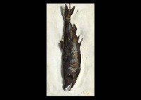 Salmon by Kiyotsugu Uenoyama - Auction record, sale price, and art valuation. Compare with similar artists and explore comparable artworks.