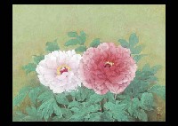 Peony