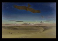 Kite