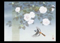 Camellias