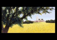 Chartre in Wheat Field