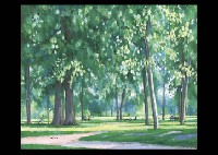 Holiday in the Forest