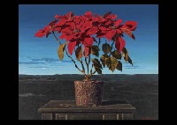Poinsettia by Kozo Izawa - Auction record, sale price, and art valuation. Compare with similar artists and explore comparable artworks.