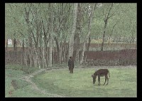 Green Kashmir Landscape