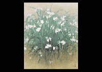Wandering Jew