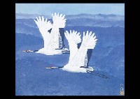 Flying Crane