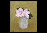 Cotton Rose