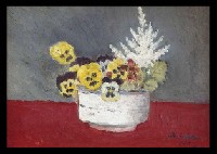 Pansy