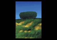 Woods and Slope